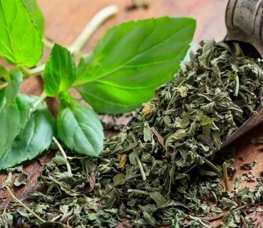 قیمت خرید مستقیم سبزی نعنا خشک صادراتی از تولید کننده